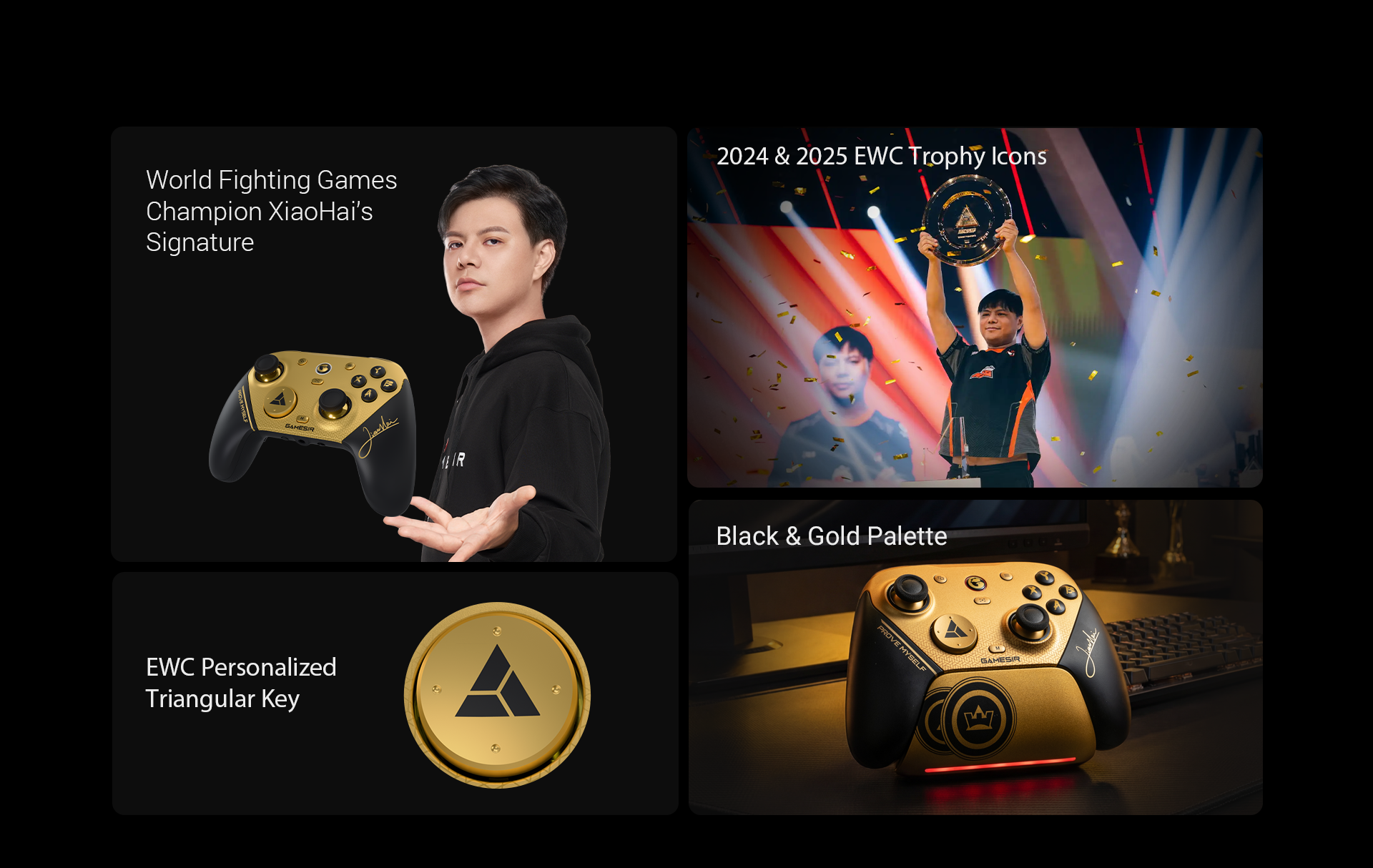 1. World Fighting Games Champion XiaoHai’s SignatureWho is XiaoHai? He is a professional esports athlete from China, widely considered the