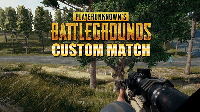PUBG Custom Matches Coming? - GameSir